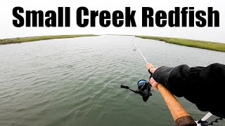 This Tiny Creek was Loaded with Redfish and Trout - Catch and Cook