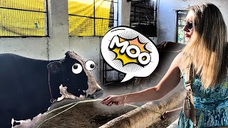 SHOCKING! When a Foreigner Visited an Indian Farm 🐄🌴🥭