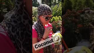 Coconut 🥥 Кокос 🌴 #shortvideo #shorts #goa