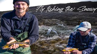 TROUT Fishing Crystal Clear Stream - Last Day in the Wilderness