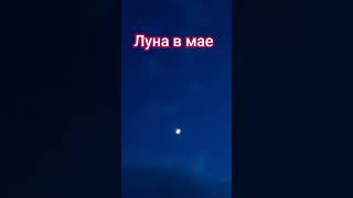 14.05.24. Радоница. СВО. Луна в мае. Не потому ль ... мы замираем глядя в небеса?