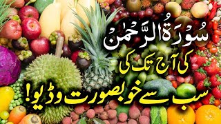 Surah Rahman Beautiful Recitation | Surah AR Rehman Tilawat | سورۃ رحمن | Trimedia Ep2384