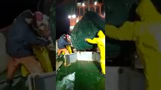 Pesca predatória