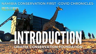 INTRODUCTION - GIRAFFE CONSERVATION FOUNDATION