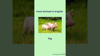 Learn Farm Animals in English | Fun Vocabulary for Kids & Beginners🐓🐖🐂🐄