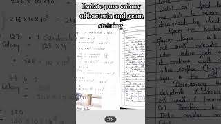 Isolate pure colony of bacteria from soil ||  gram staining|| identification of bacteria #notes#mlt