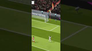 Nice Goal