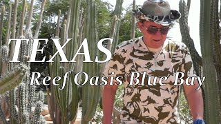 КАКТУСЫ...Texas - парка отеля Reef Oasis Blue Bay- Шарм Эль Шейх, ЕГИПЕТ-2021