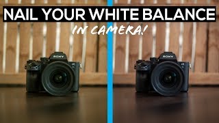 NAIL YOUR WHITE BALANCE IN CAMERA EVERY TIME / Sony a7iii, a7sii