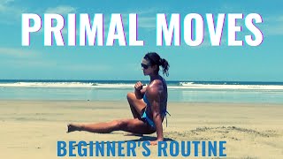 A 5-minute Primal Moves Routine - Beginner Friendly Exercises