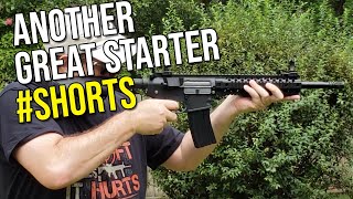 Another Good Beginner Airsoft AEG? | SOGGYBits #shorts