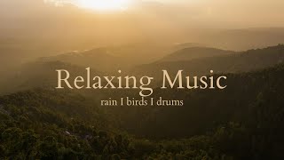 Calming Ambient Music with Thunder I Rain I Birds I Indian Drums for Relaxing , Focus, Sleep & Yoga