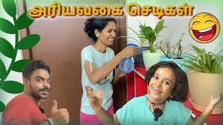 😈 Veetukula Chedi Valathalamaa..??😁🤣 #anjuzlifestyle #funny #vlog