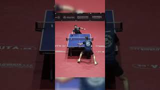 Absolutely INSANE Table Tennis Around The Net Shot 🏓🙀 #respect #improve #tabletennis #proplayer