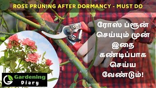 ரோஸ்  ப்ரூனிங்  - மேல் மண்ணை மாற்றுவது எப்படி  - How to change top soil before Rose pruning in Tamil