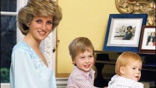 Diana: A Tribute to Her Life and Legacy