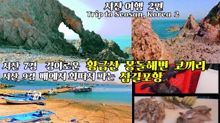 서산 여행 2편 - 황금산 몽돌해변 코끼리바위와 배에서 회 떠서 파는 삼길포항