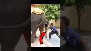 IShowSpeed Do This Sh*t With Elephant 🐘 In ThaiLand #ishowspeed #shorts