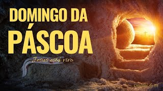 DOMINGO DA PÁSCOA DO SENHOR 2024