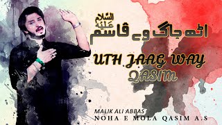 Nohay 2018 | uth jaag way Qasim a.s | Malik Ali Abbas Noha 2018 | Noha Mola Qasim