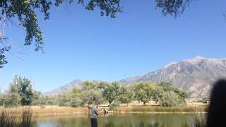 Catching  a fish at burston ponds