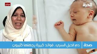 Dr. Walaa Moustafa | Specialist Obstetrics & Gynecology | Al Hurrah TV