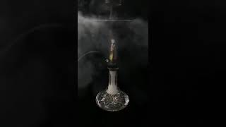 black hookah lover hookah status hookah short video whatsapp hookah status #shortvideo #youtubeshort