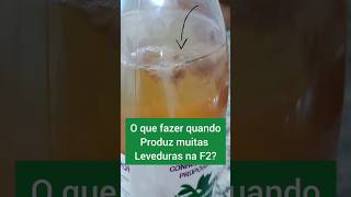 Você sabe o que fazer quando sua Saborização produz muitas leveduras? Foca no vídeo que te falo.