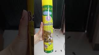 cockroach killer #cockroachkiller #insectkiller #shorts