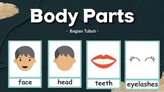 Learning Body Parts | Mengenal Bagian Tubuh Dalam Bahasa Inggris Part 1