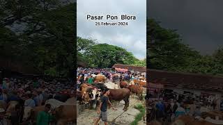 PASAR PON BLORA 2024 #sapi #pasarsapi #pasarpon #pasarwage