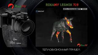 Тепловизионный прицел RikaNV Lesnik 319, видео  из зимнего леса.