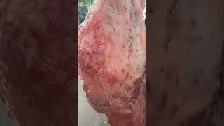 Lumpi Skin Meat | Lumpi Skin Meat  Sales in Karachi