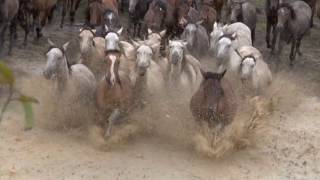 De A Caballo Detrás de Cámaras [Making Of]