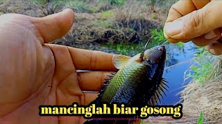 mancing lah biar gosong #mancing #shots