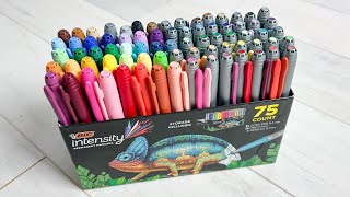 Bic Intensity Markers: Sort and Swatch 75 Markers Ultra Fine and Fine