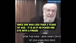 Jewish Rabbi: On Sexual Intercourse With A Toddler