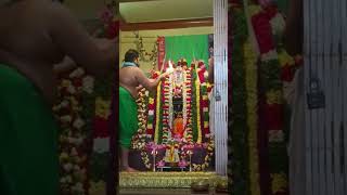 Arathi to Sri Raghavendra Swamiji || Erode Srripadaraja mutt || Raghavendra Swamy Mutt ||Erode Rayar