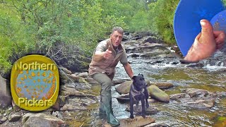 Tyndrum Gold ! The undiscovered countryside !