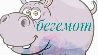 Бегемот