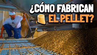 Cómo se hace el PELLET [Proceso de fabricación]