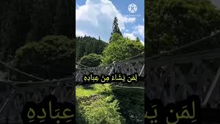 مشاء الله اللهم مرزق كل ايد  حطت بوني