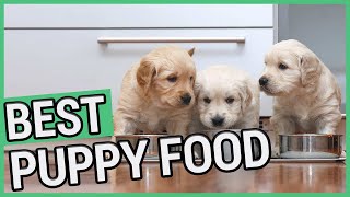 Best Puppy Food | 5 Best Food For Puppies 2021 🐶 ✅