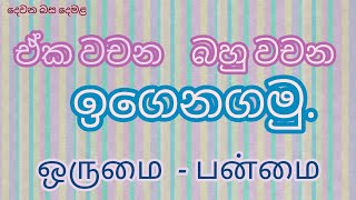 Singular plural in Tamil දෙමළ ඒක වචන බහු වචන ஒருமை பன்மைச் சொற்கள்