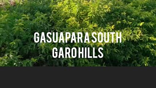 Gasuapara rebaachim vlog video