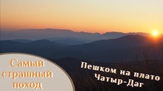 🌍 Крым Незабываемый поход на Чатыр-Даг | Встреча с дикими животными | Спуск страшнее подъема 🌍