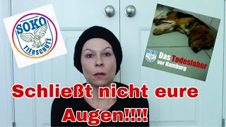 Schaut nicht weg!!!!!!!