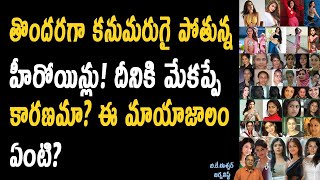 కనుమరుగు అయిపోతున్న స్టార్ హీరోయిన్ లు మేకప్ కారణమా ? Heroines Shocking Facts You Must Know