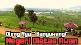 VIRAL!!Tak hanya DIENG ini lah "NEGERI DI ATAS AWAN" Banyuwangi