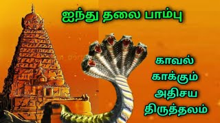 ஐந்து தலை பாம்பு காவல் காக்கும் 2000 வருட கோவில்//South Indian temples